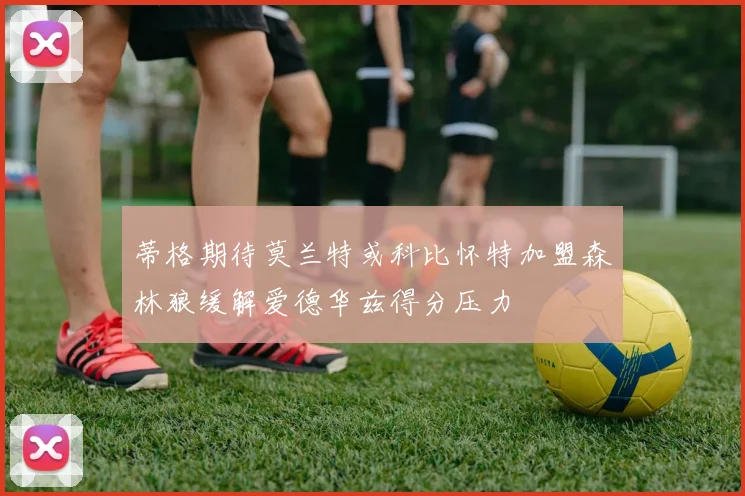 蒂格期待莫兰特或科比怀特加盟森林狼缓解爱德华兹得分压力